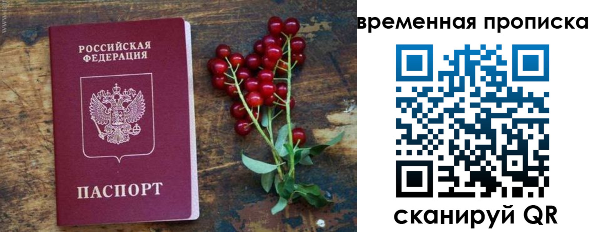 временная регистрация гарантия в Мамадыше